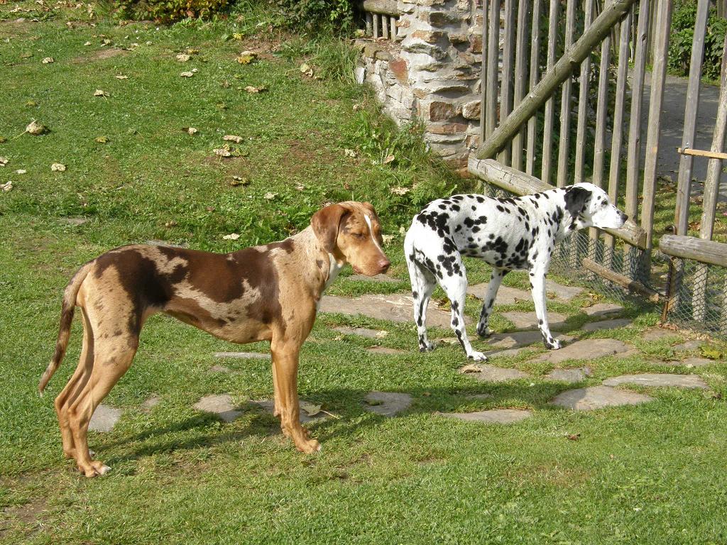arky a kendy 016.JPG