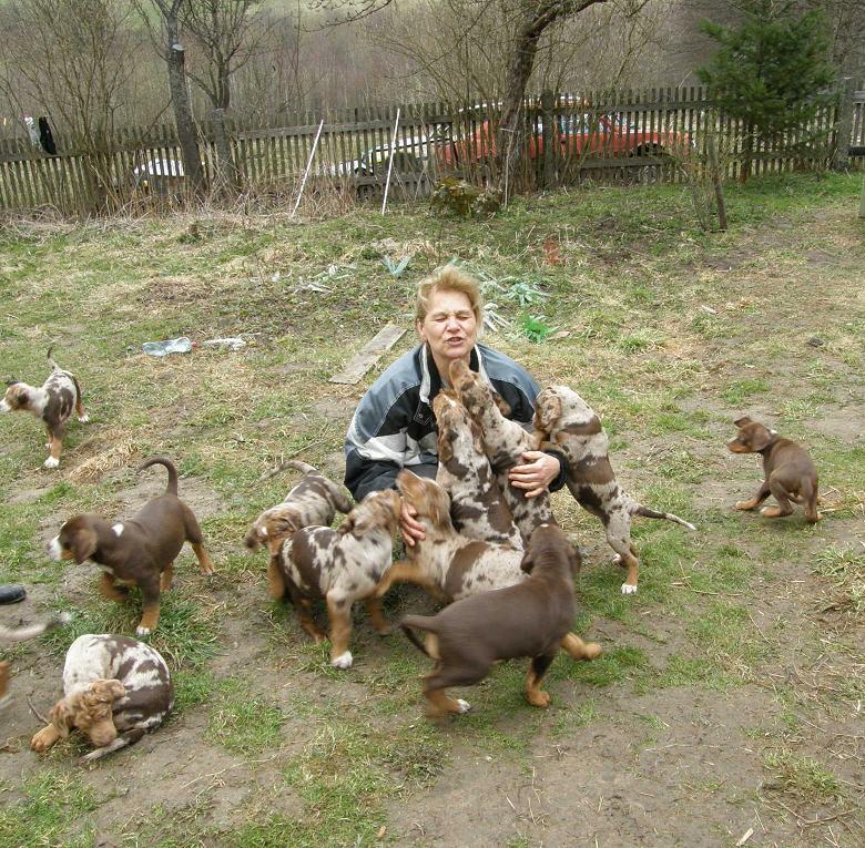 Děti, pojďte ke mně.JPG