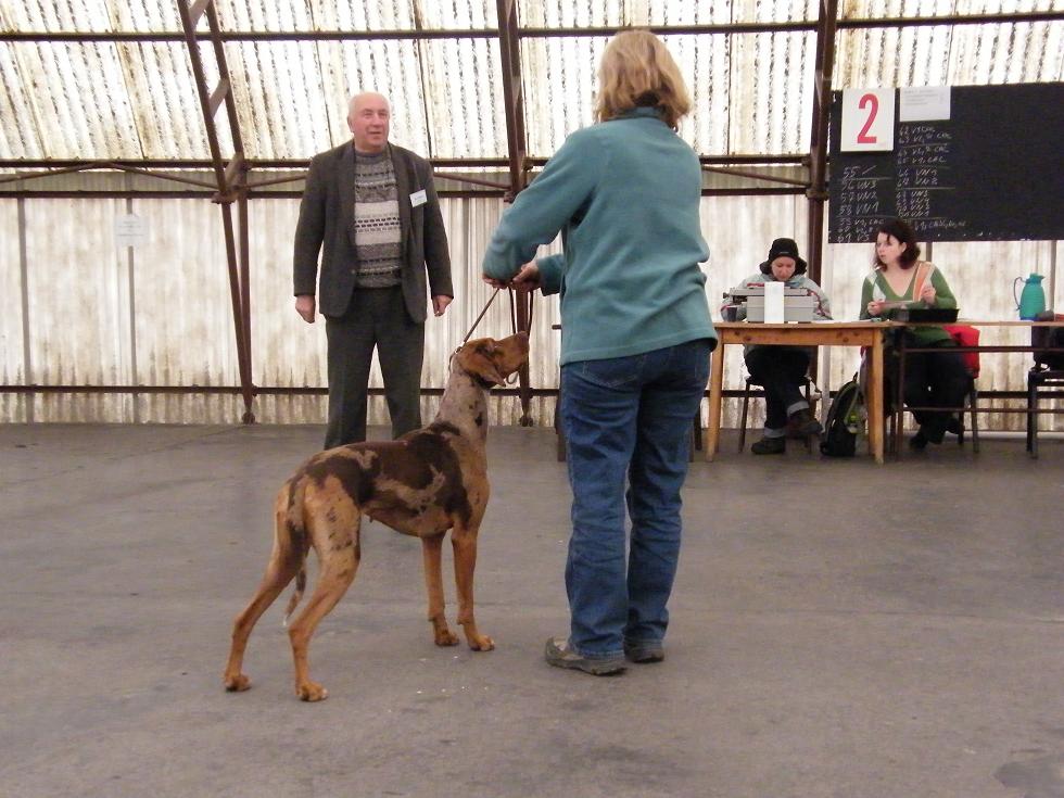 DSCF9327.JPG
